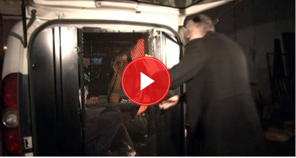 At Eti Operasyonu: 14 At Kesilmiş Halde Bulundu