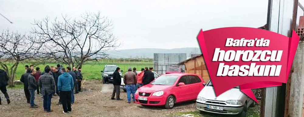 Bafra’da Horozcu Baskını