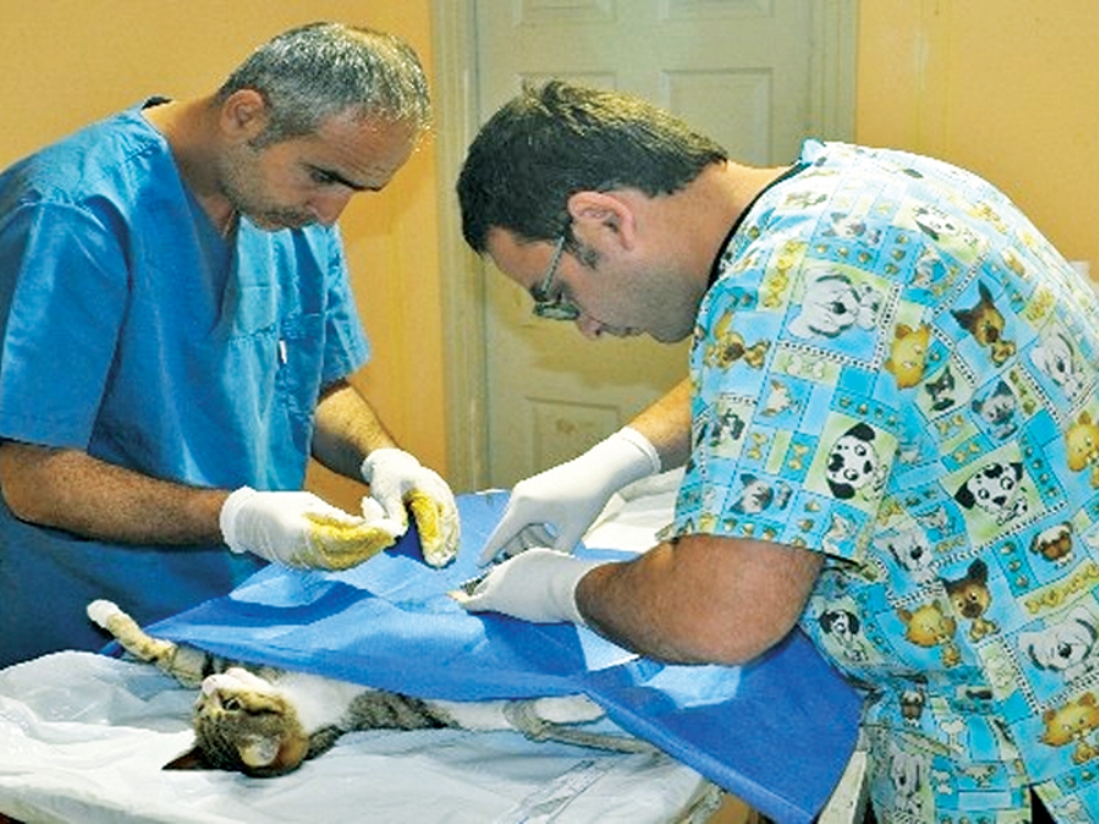gazete gercek