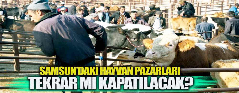 Şap Karantinası Sürüyor