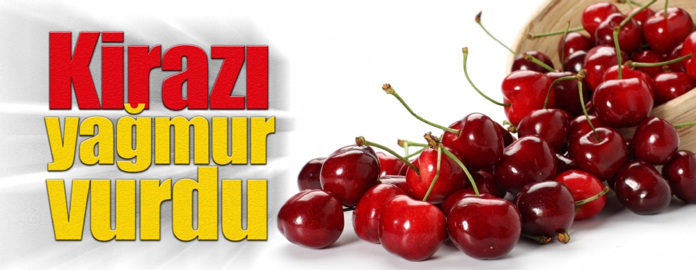 Kirazı Yağmur Vurdu