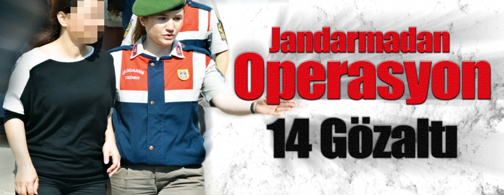 Jandarmadan Operasyon: 14 Gözaltı