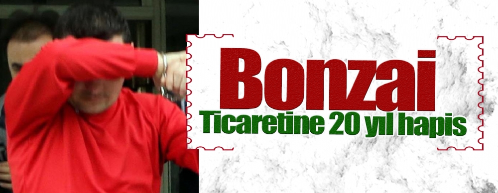 Bonzai Ticaretine 20 Yıl Hapis