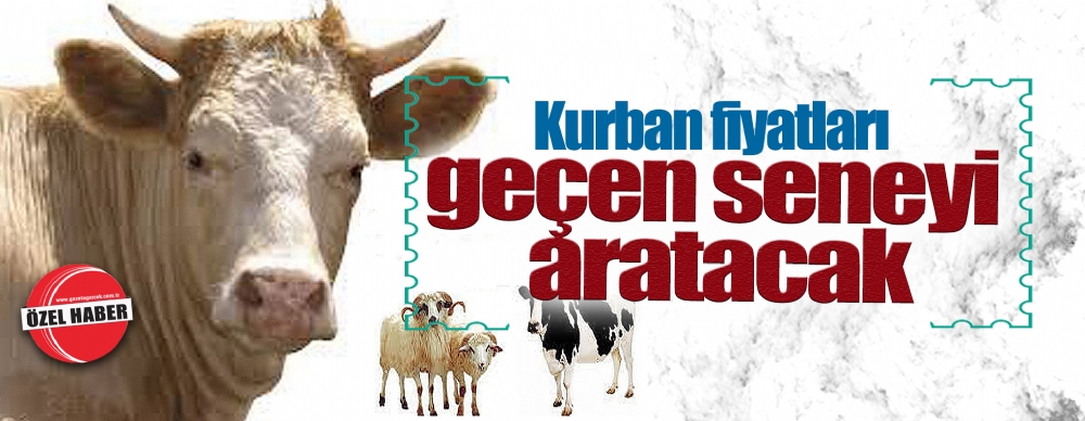 Kurban Fiyatları Geçen Seneyi Aratacak