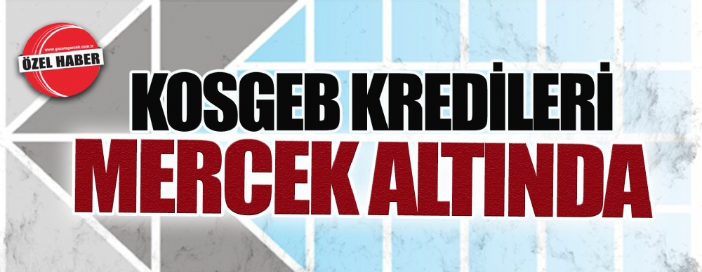 Kosgeb Kredileri Mercek Altında