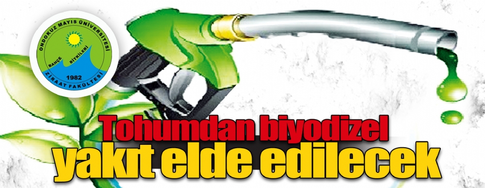 Tohumdan Biyodizel Yakıt Elde Edilecek