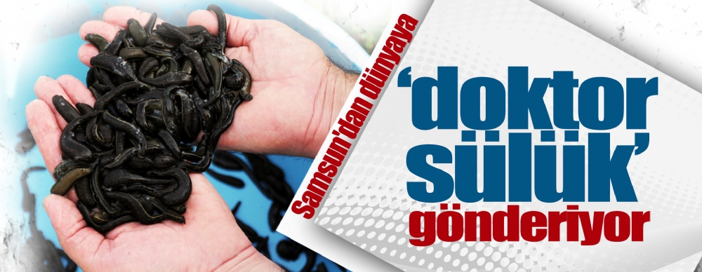 Samsun Dan Dunyaya Doktor Suluk Gonderiyor Ekonomi