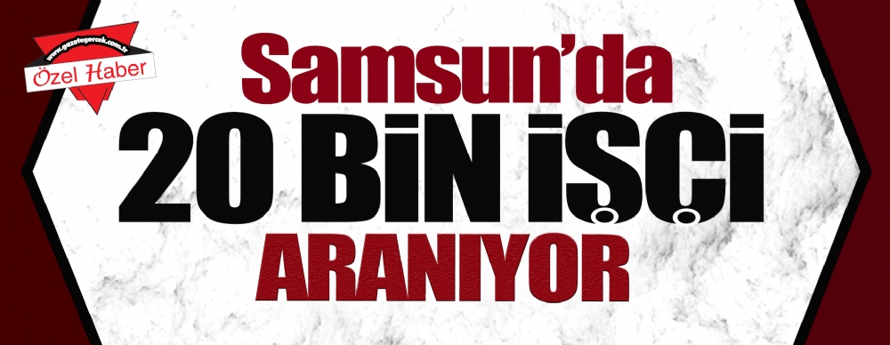 Samsun'da 20 Bin Işçi Aranıyor