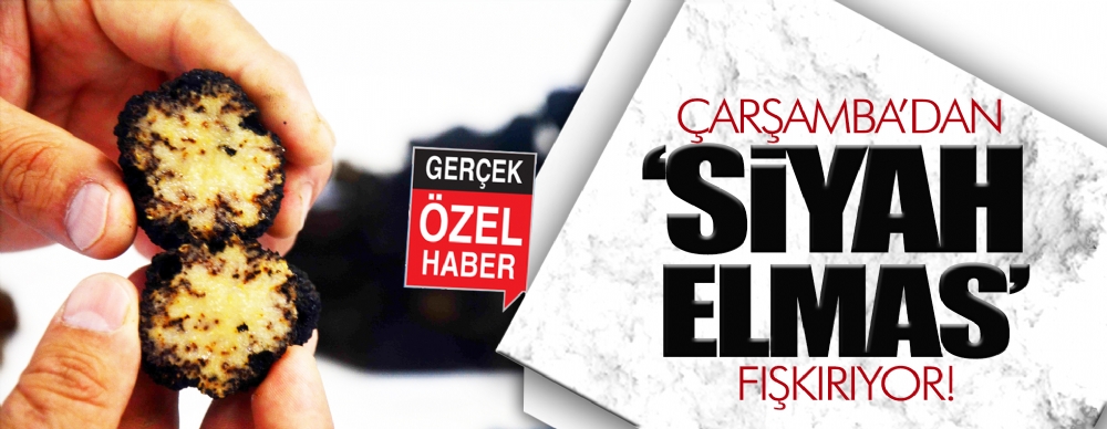 Çarşamba’dan ‘siyah Elmas’ Fışkırıyor!
