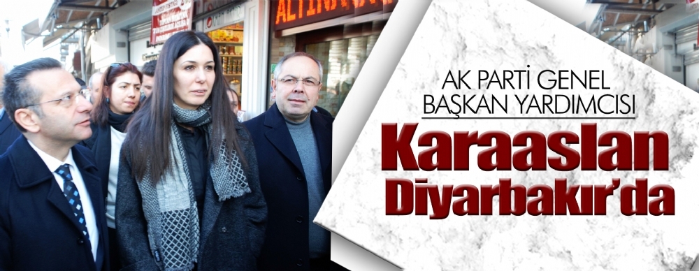 Ak Parti Genel Başkan Yardımcısı Karaaslan Diyarbakır’da