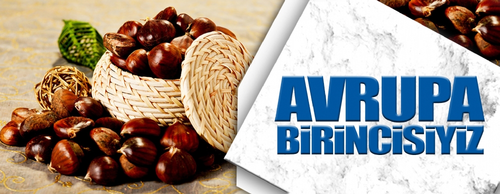 Avrupa’da Birincisiyiz