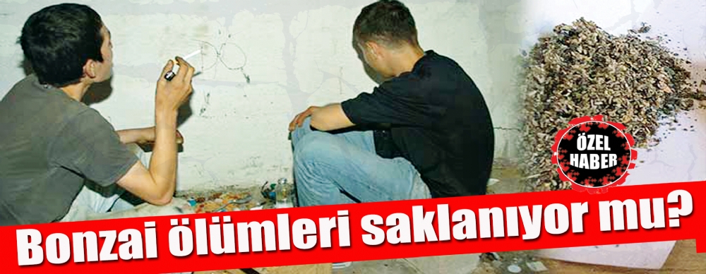 Bonzai Ölümleri Saklanıyor Mu?