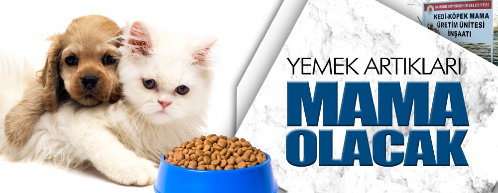 Buyuksehir Belediyesi Nden Turkiye De Bir Ilk Guncel