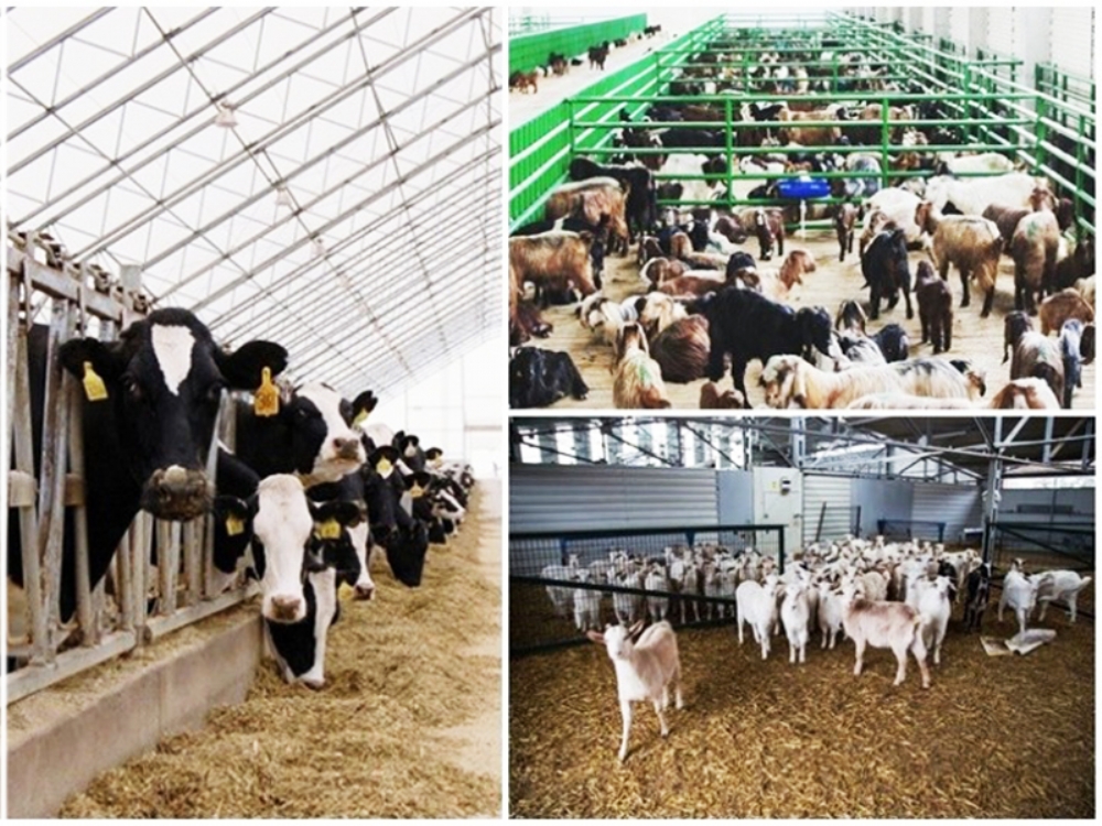 Dokap Başvuruları Başladı