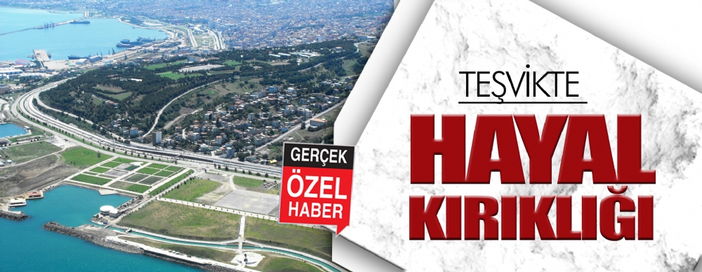 Teşvikte Hayal Kırıklığı