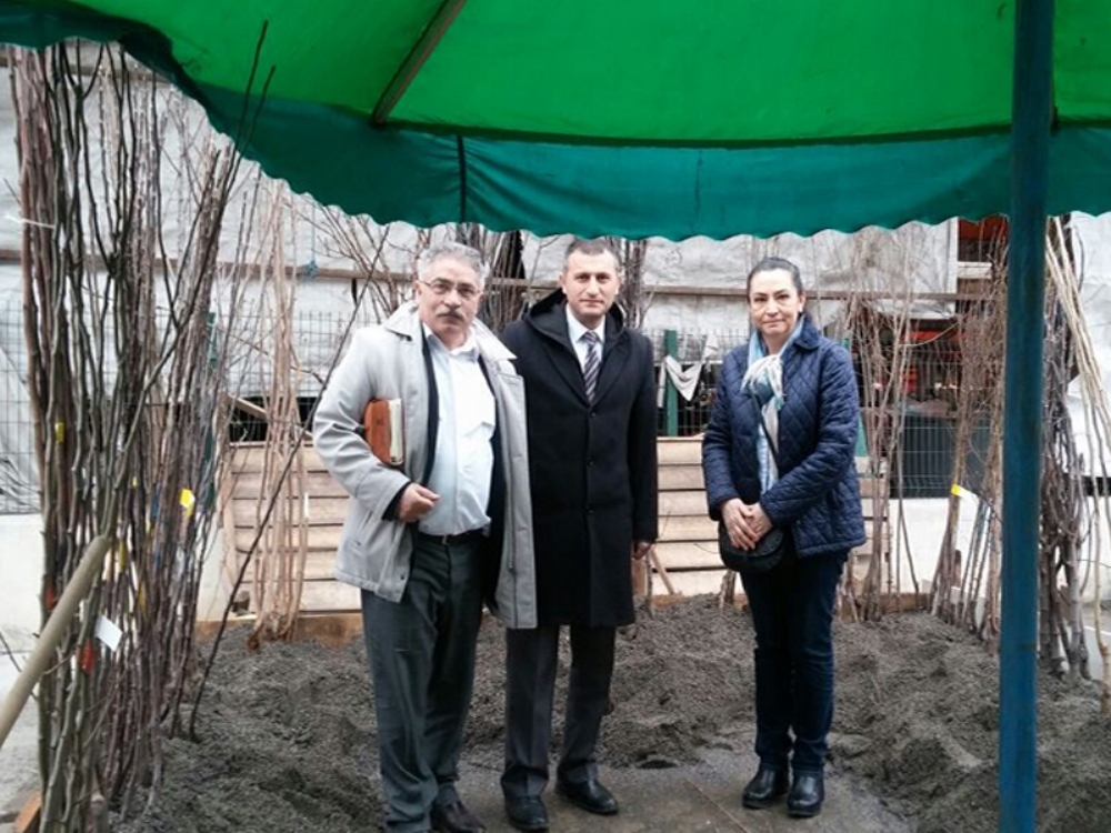 Pazarlarda Fidan Kontrolu Guncel