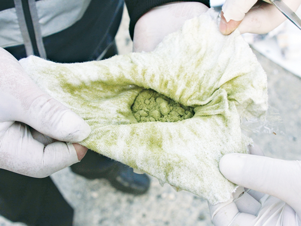 Bonzai Esrarı  Rahatlattı Mı?