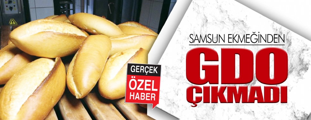 Samsun Ekmeğinden Gdo Çıkmadı