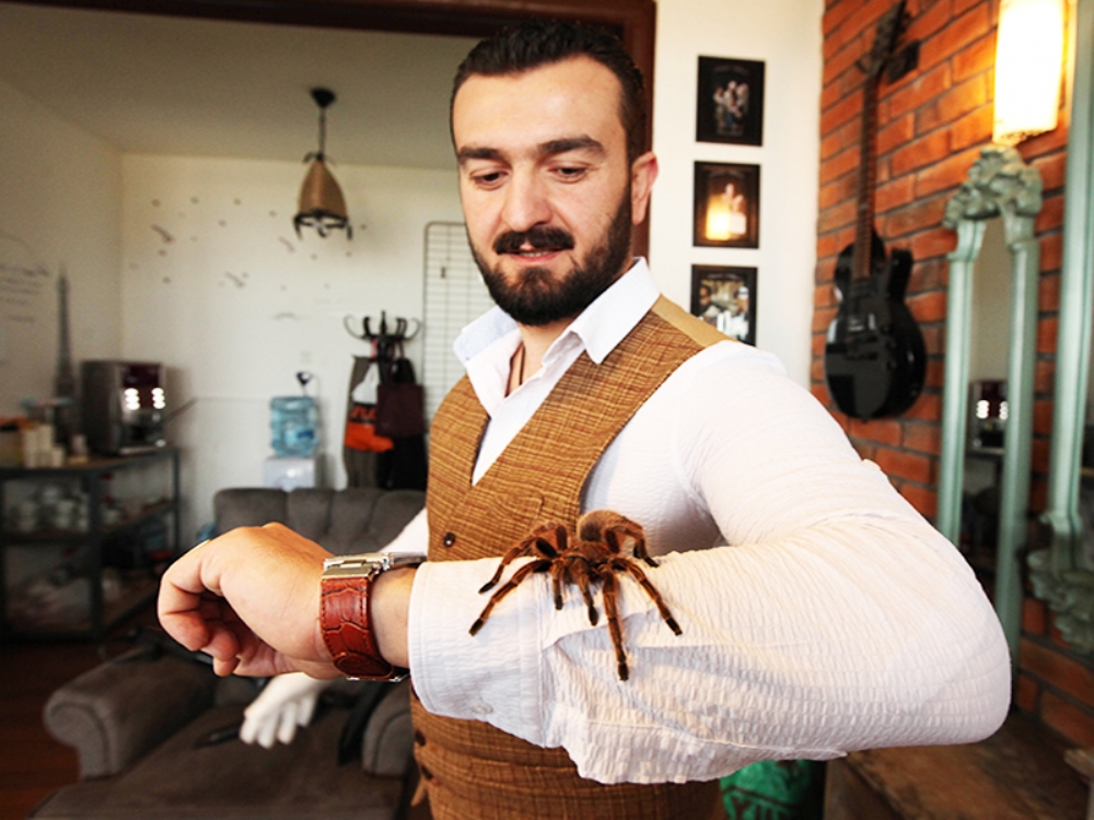 Yılan, Tarantula, Kertenkele, Pirana Yok Böyle Bir Yaşam!