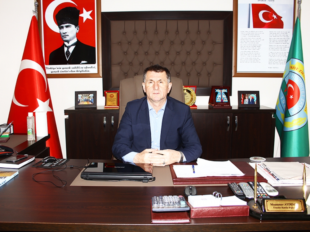 Soğuk Hava Fındık Üreticisini Üzdü