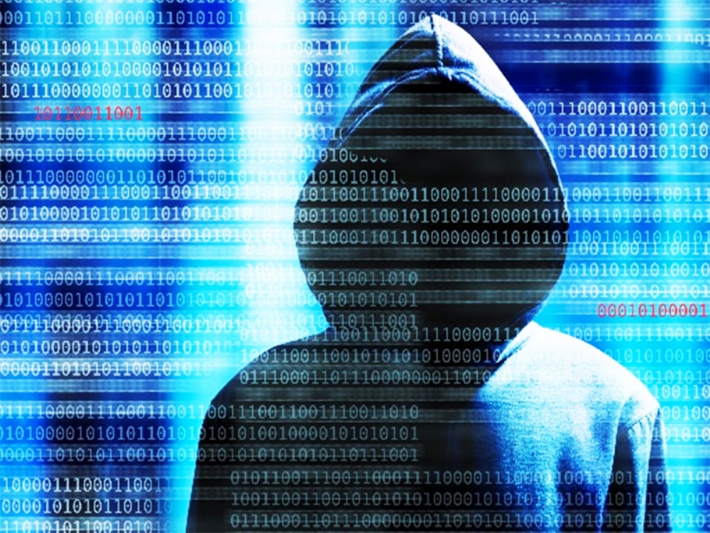 Siber Ordu Botnet’i Vurdu