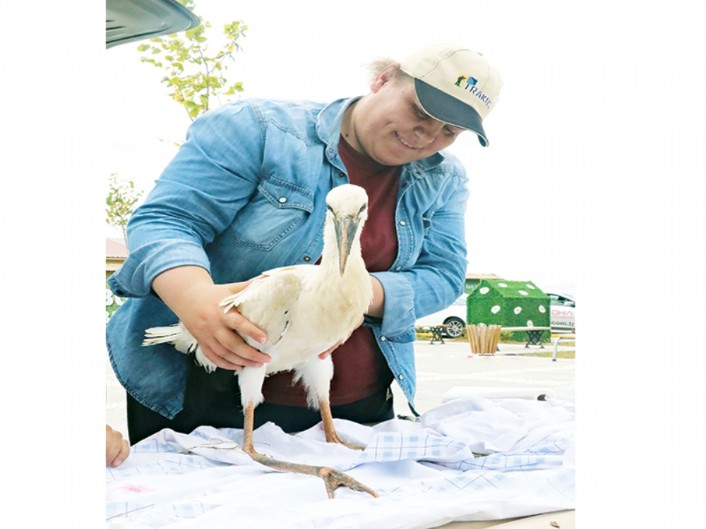 Samsun’dan Mozambik’e