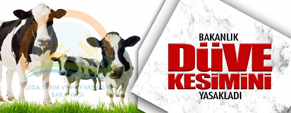 Kasaplar Odası: Yerinde Bir Karar