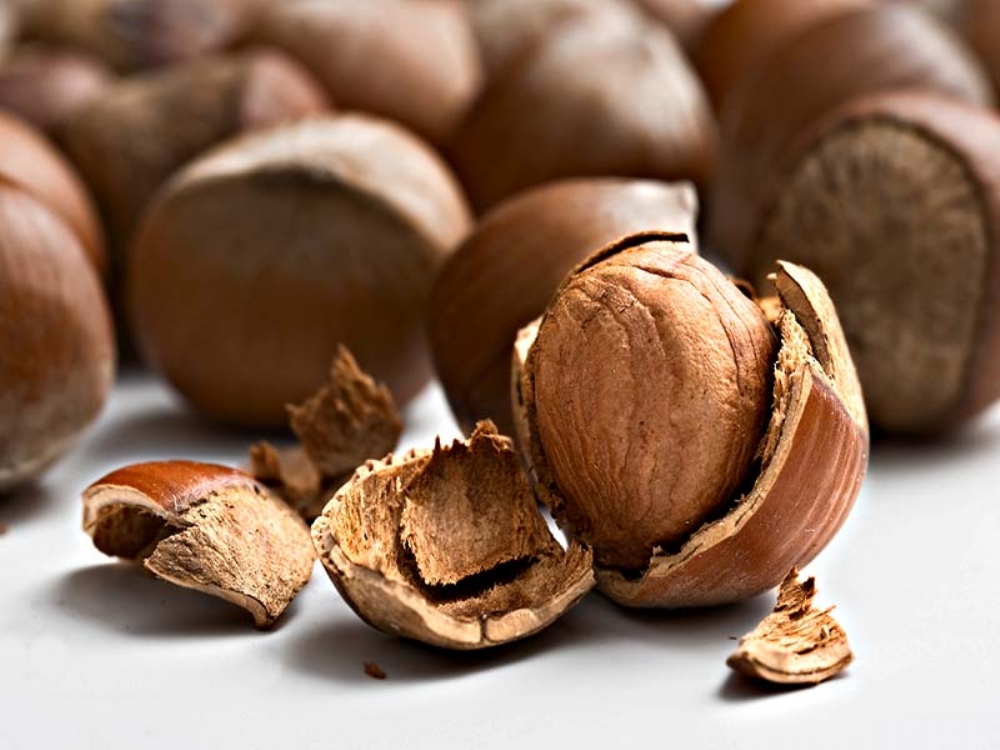 Fındık Fiyatını 2014  Rekoltesi Belirleyecek