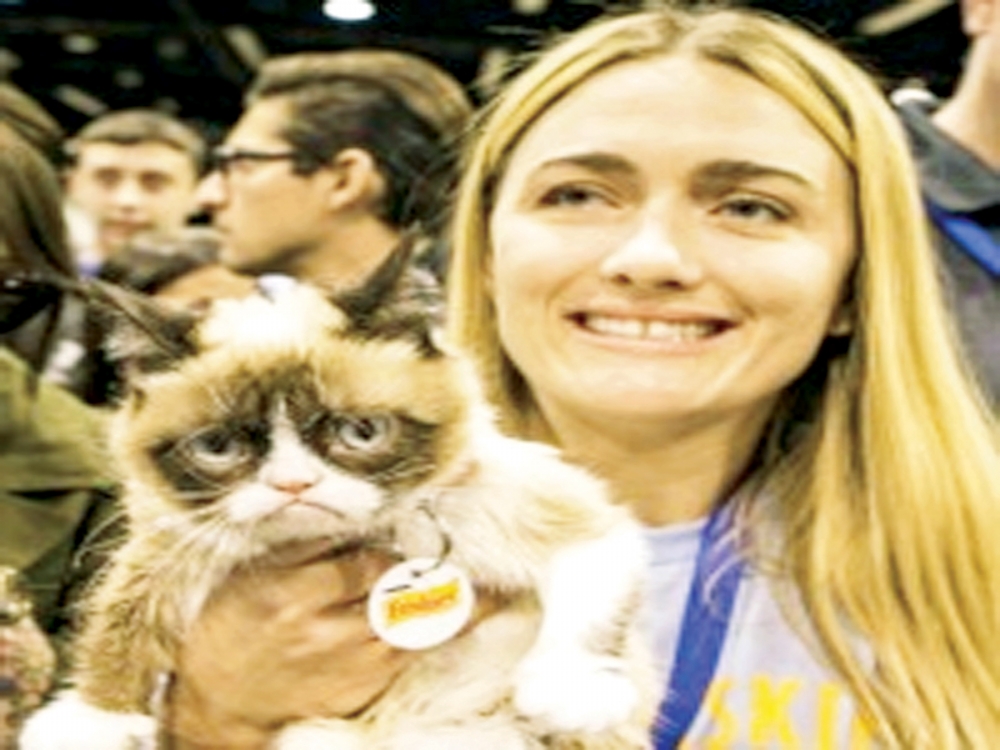 Bu Hırçın Kedi Sahibini Milyoner Yaptı