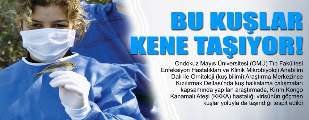 bu kuslar kene tasiyor guncel