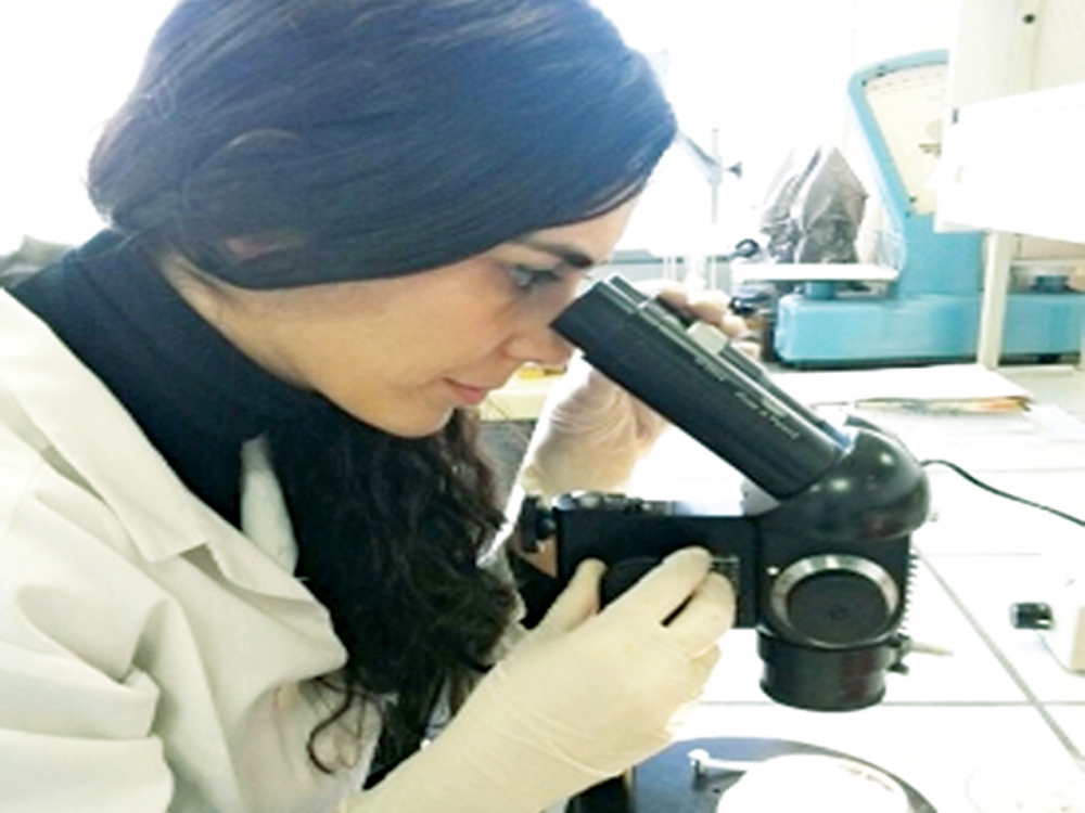 Sinop Universitesi Polonya Da Guncel