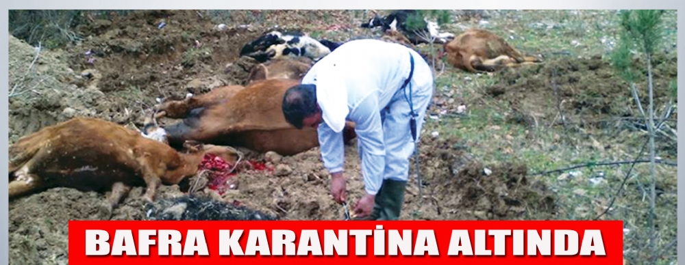 Dededağ Ve Sarıçevre Karantina Altına Alındı