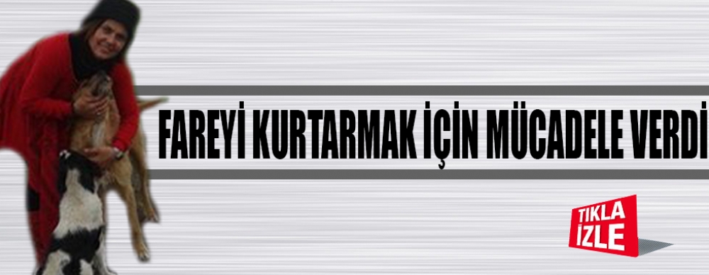 Ulubay'dan Fare Operasyonu