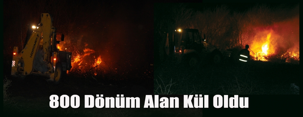 800 Dönüm Alan Kül Oldu