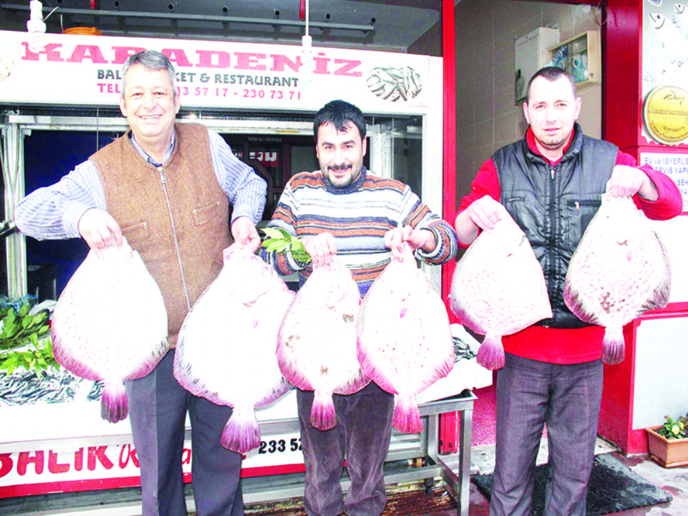 Sezonun ılk Kalkan Balıkları Tezgahlarda