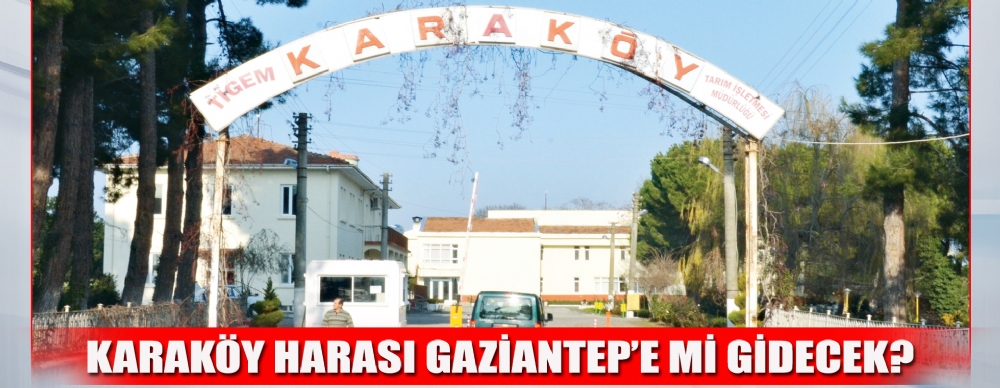 Karaköy Harası Gaziantep’e Mi Gidecek?