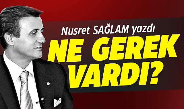 NE GEREK VARDI?