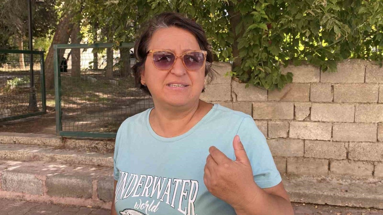 Sokak köpeklerinin saldırdığı kadın yaralandı