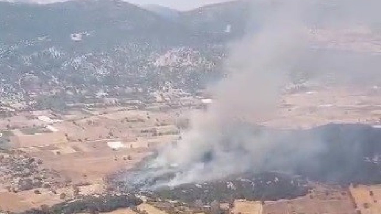 Tarlada çıkan yangın ormanlık alana sıçradı