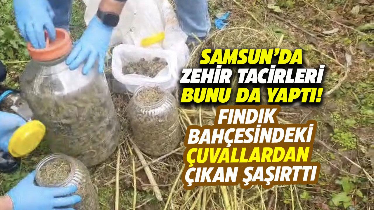 Samsun'da fındık bahçesindeki çuvallardan çıkan şaşırttı