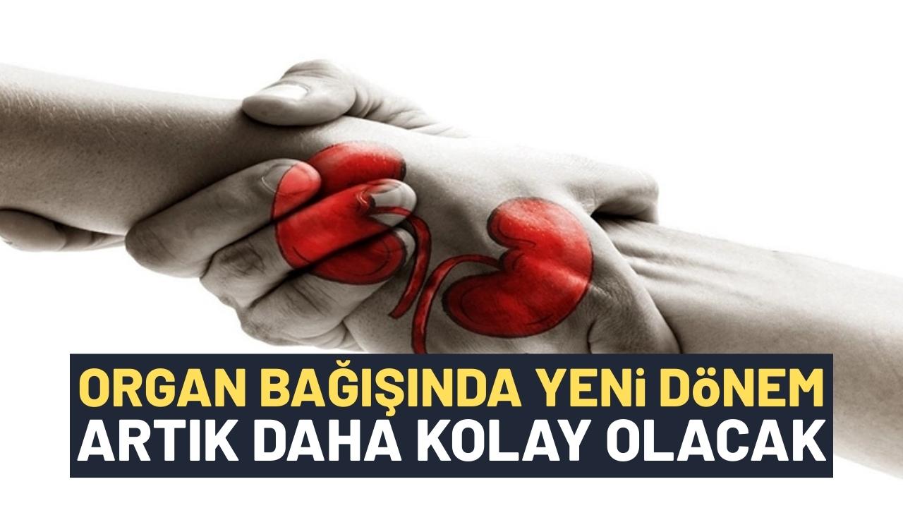 Organ bağışında dijital dönem! E-Devlet üzerinden bağış