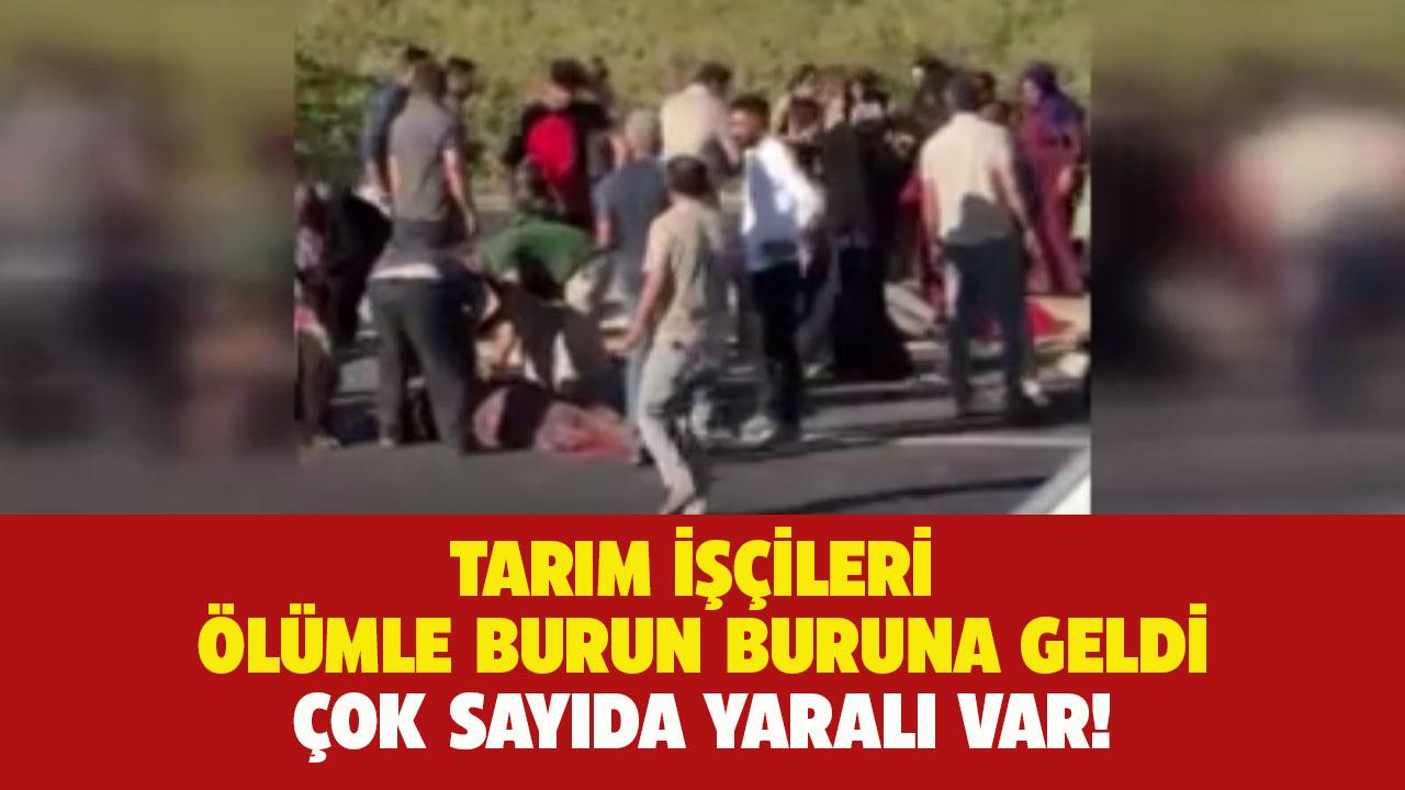 Tarım işçileri ölümle burun buruna geldi