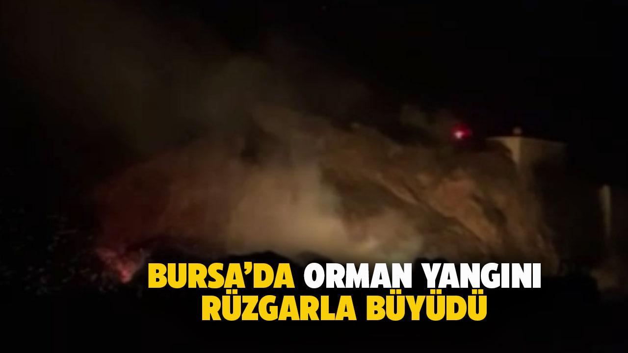 Bursa'da orman yangını! Rüzgarın etkisiyle büyüdü