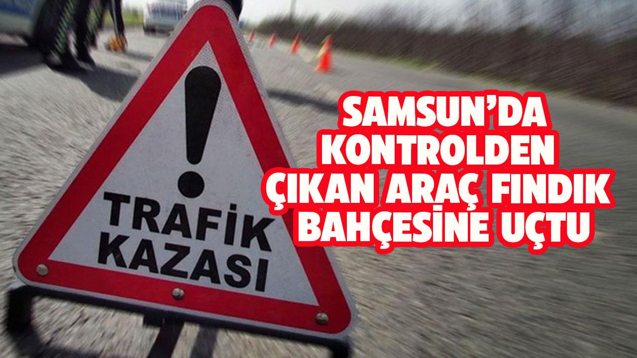 Samsun'da yoldan çıkan araç fındık bahçesine uçtu