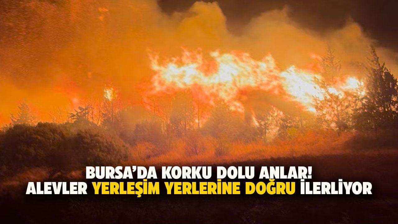 Bursa'da korku dolu anlar! Alevler köye yaklaştı