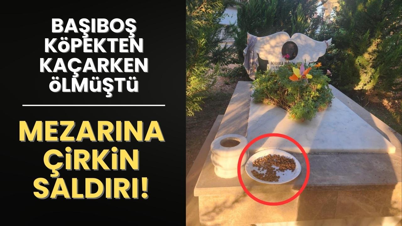Başıboş köpek saldırısında ölmüştü: Mezarına 'mama' bıraktılar
