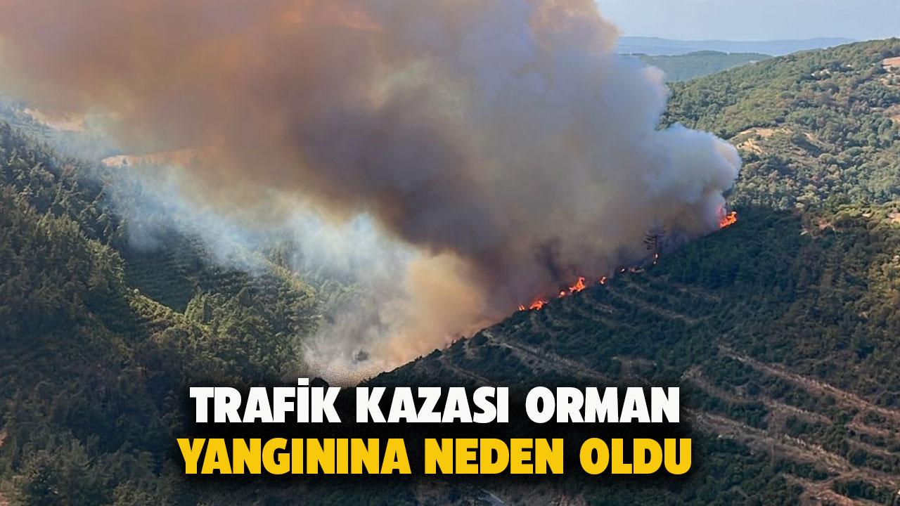Balıkesir'de trafik kazası orman yangını çıkardı