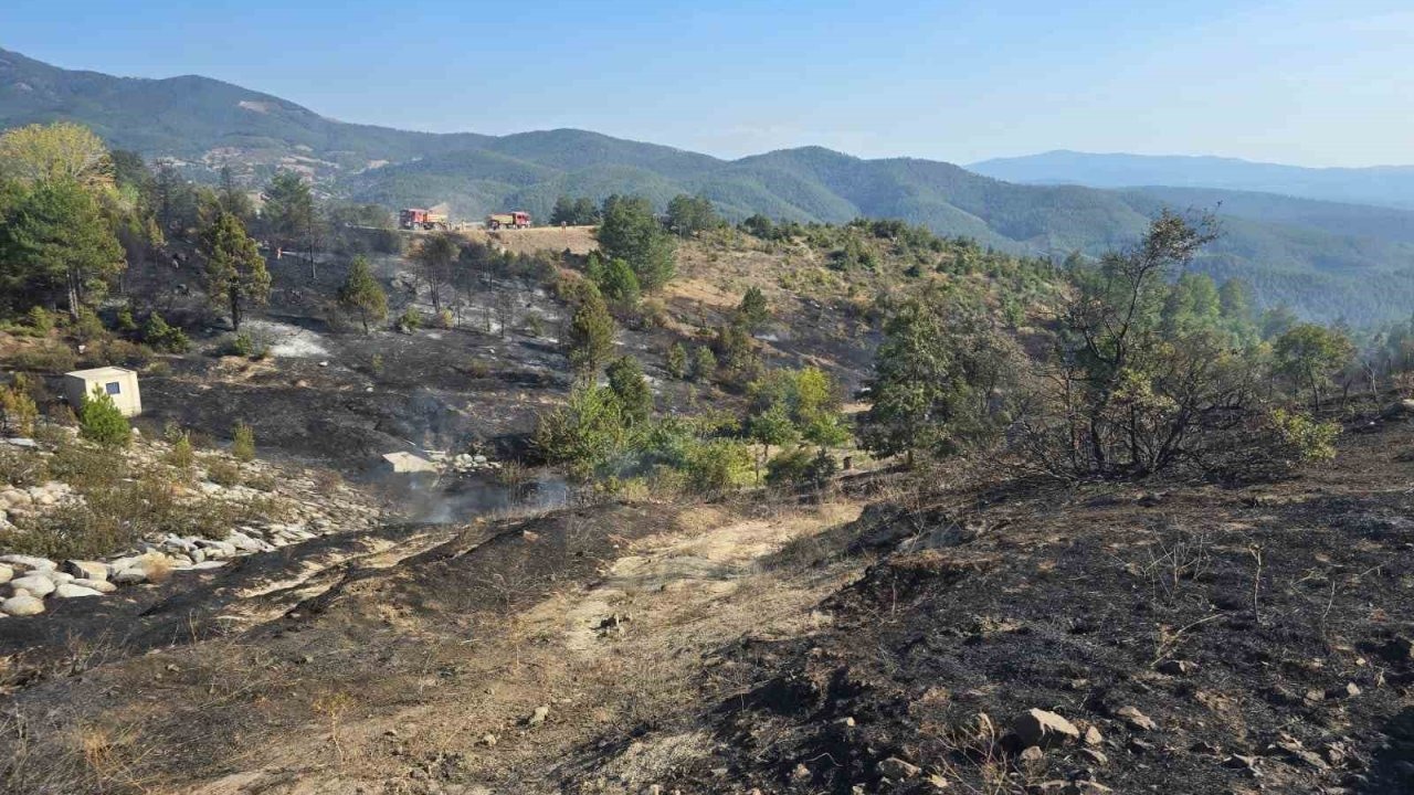 Ormanda piknik keyfi, faciaya sebep oluyordu
