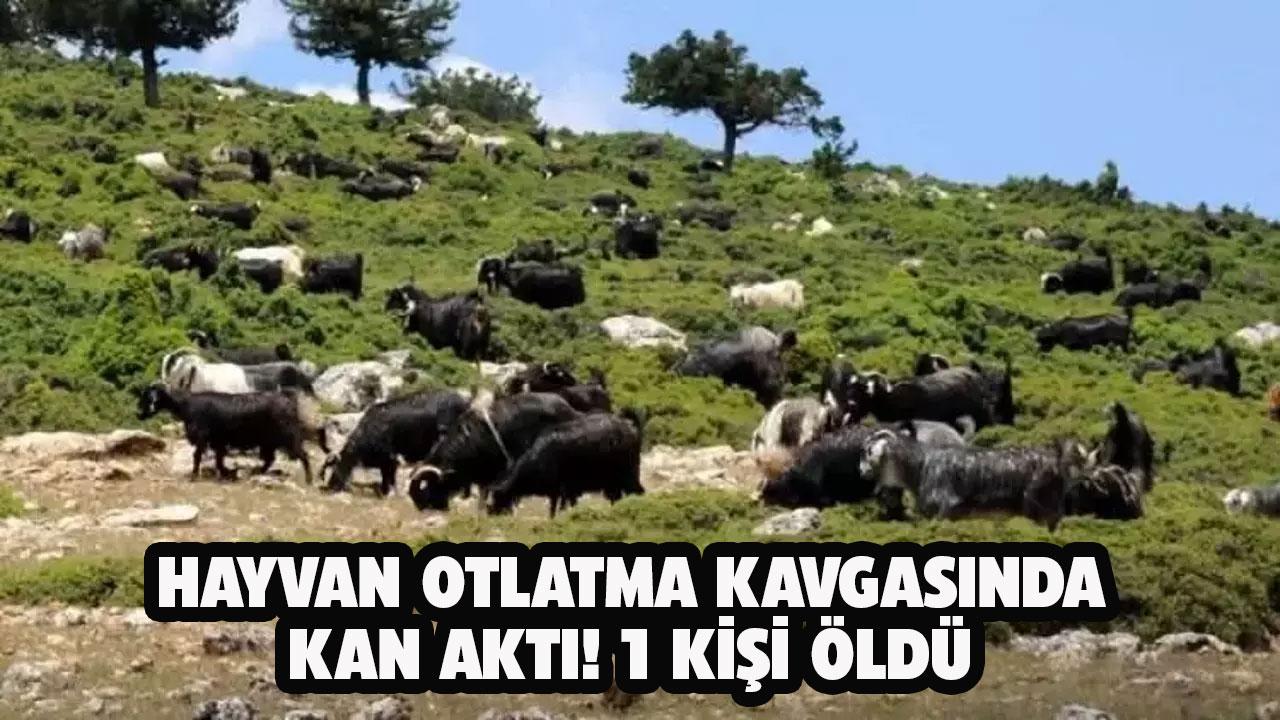 Hayvan otlatma kavgasında kan aktı! 1 kişi öldü