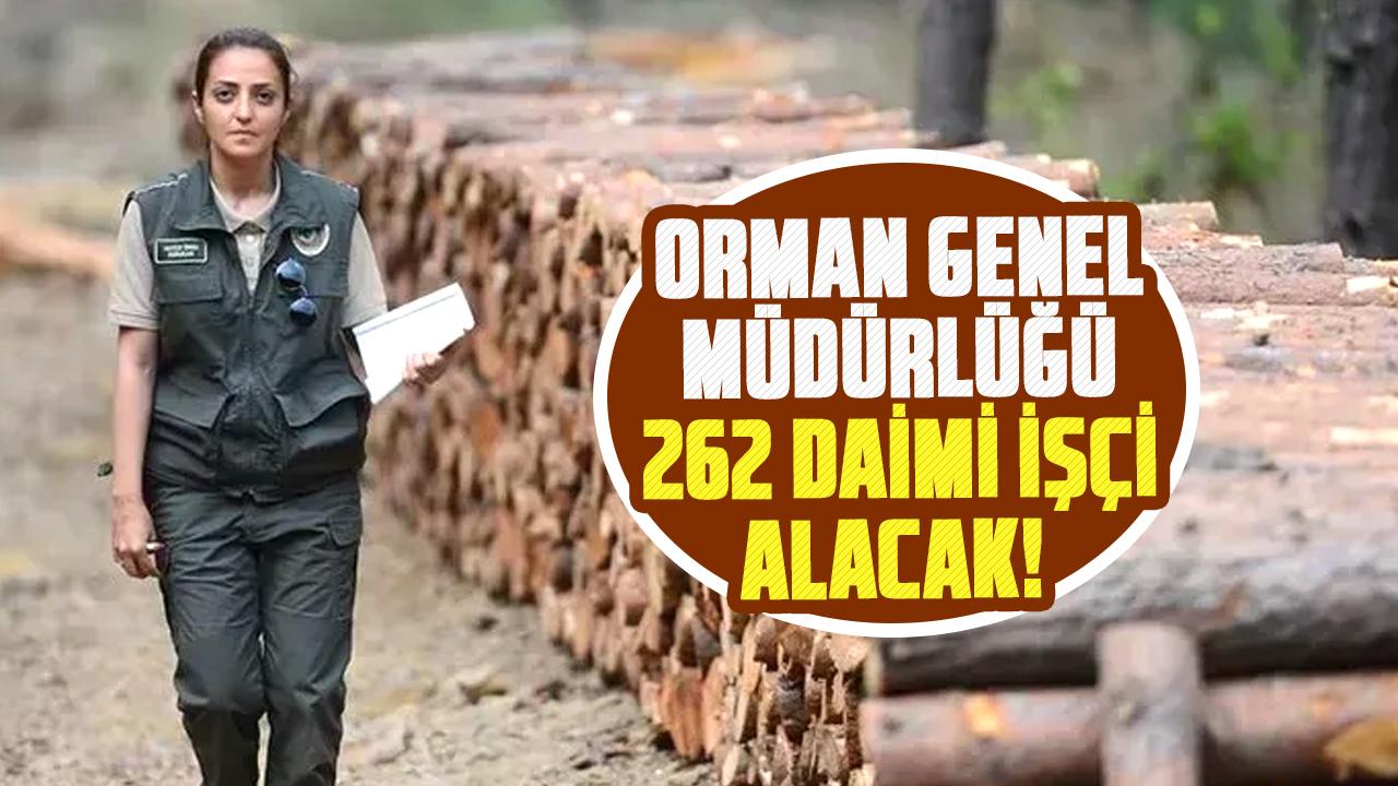 Orman Genel Müdürlüğü 262 daimi işçi alacak! İşte şartlar
